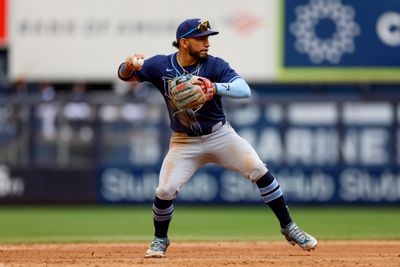 MLB: APR 21 Rays at Yankees