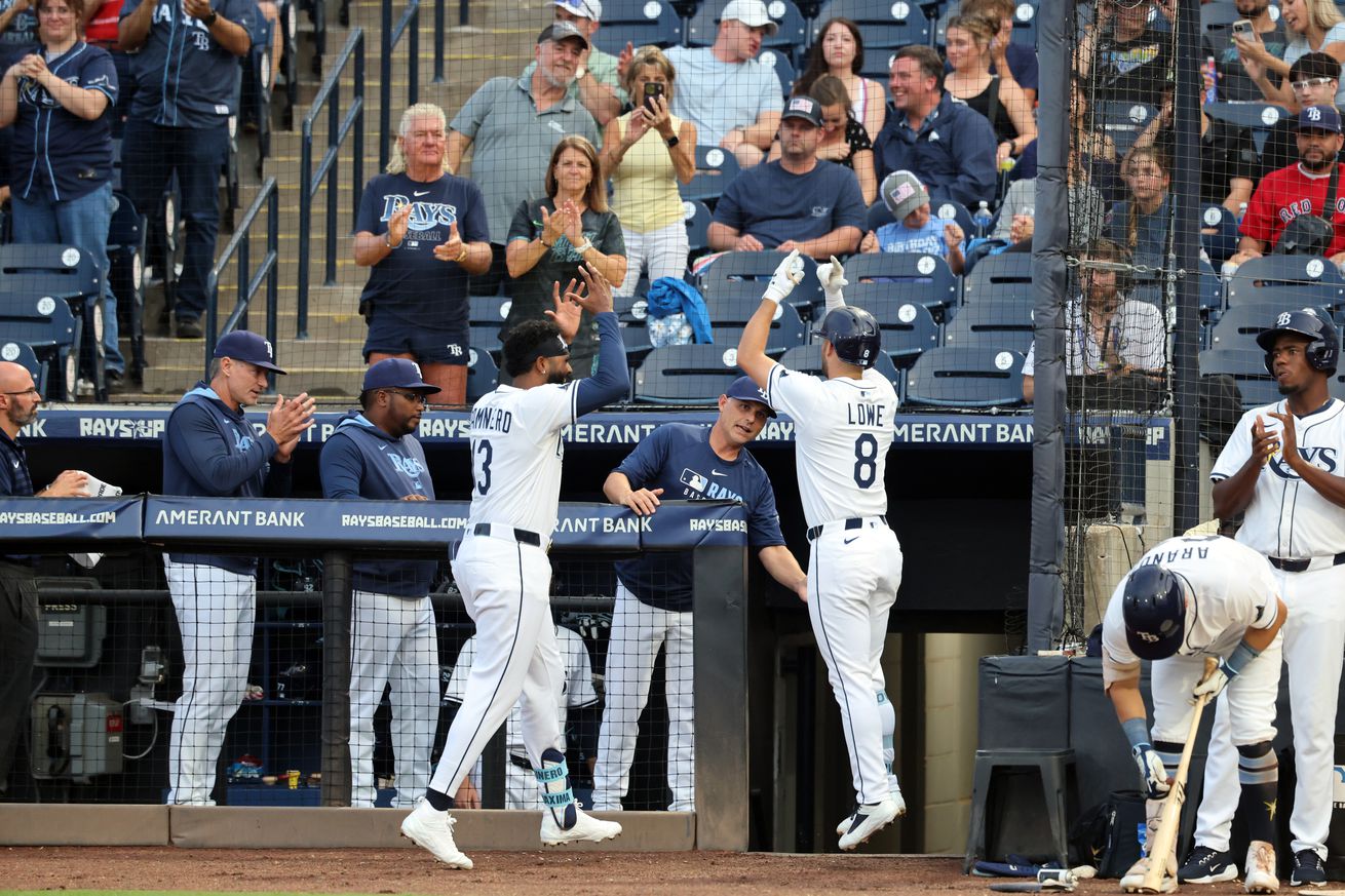 MLB: Texas Rangers at Tampa Bay Rays