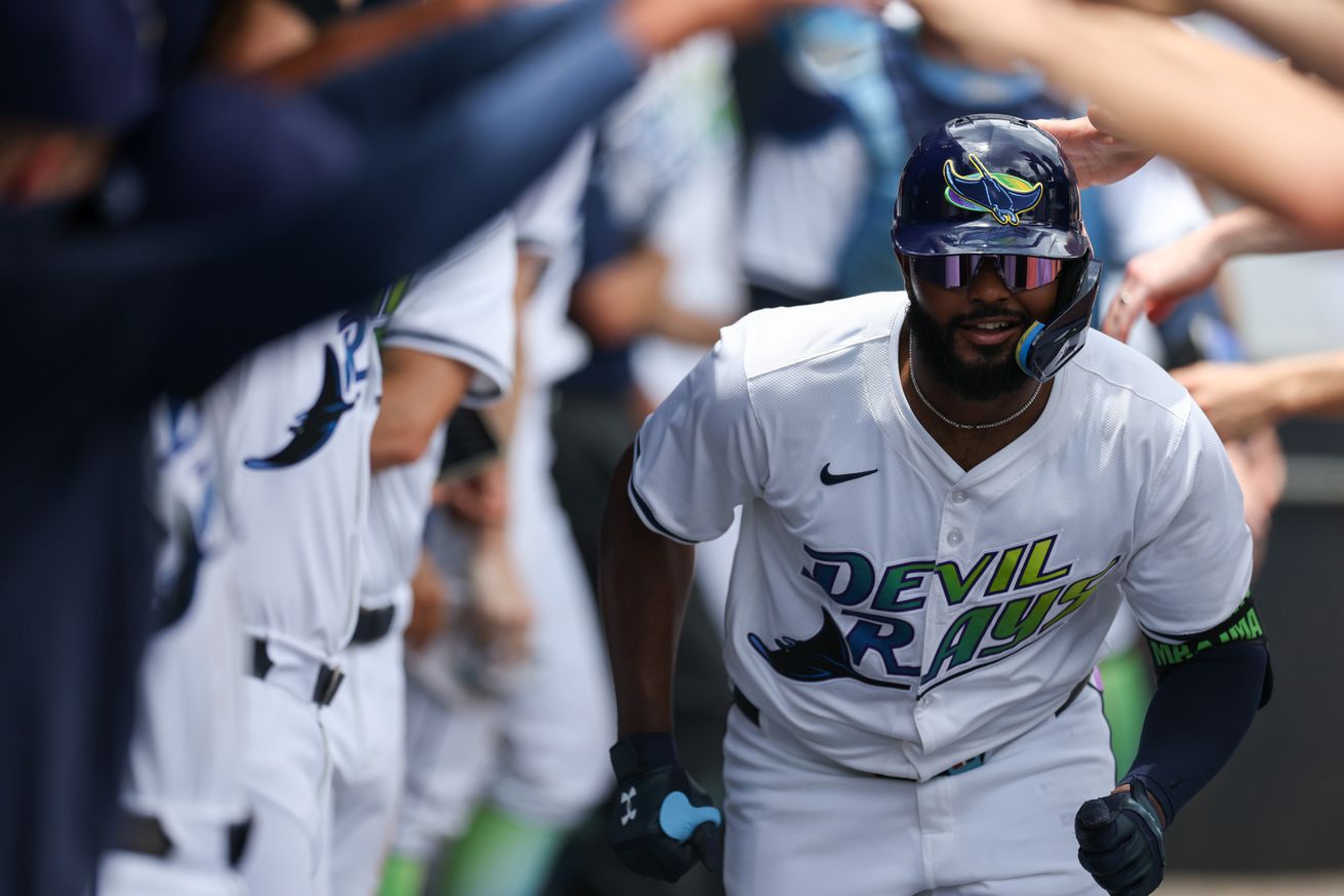 MLB: Detroit Tigers at Tampa Bay Rays