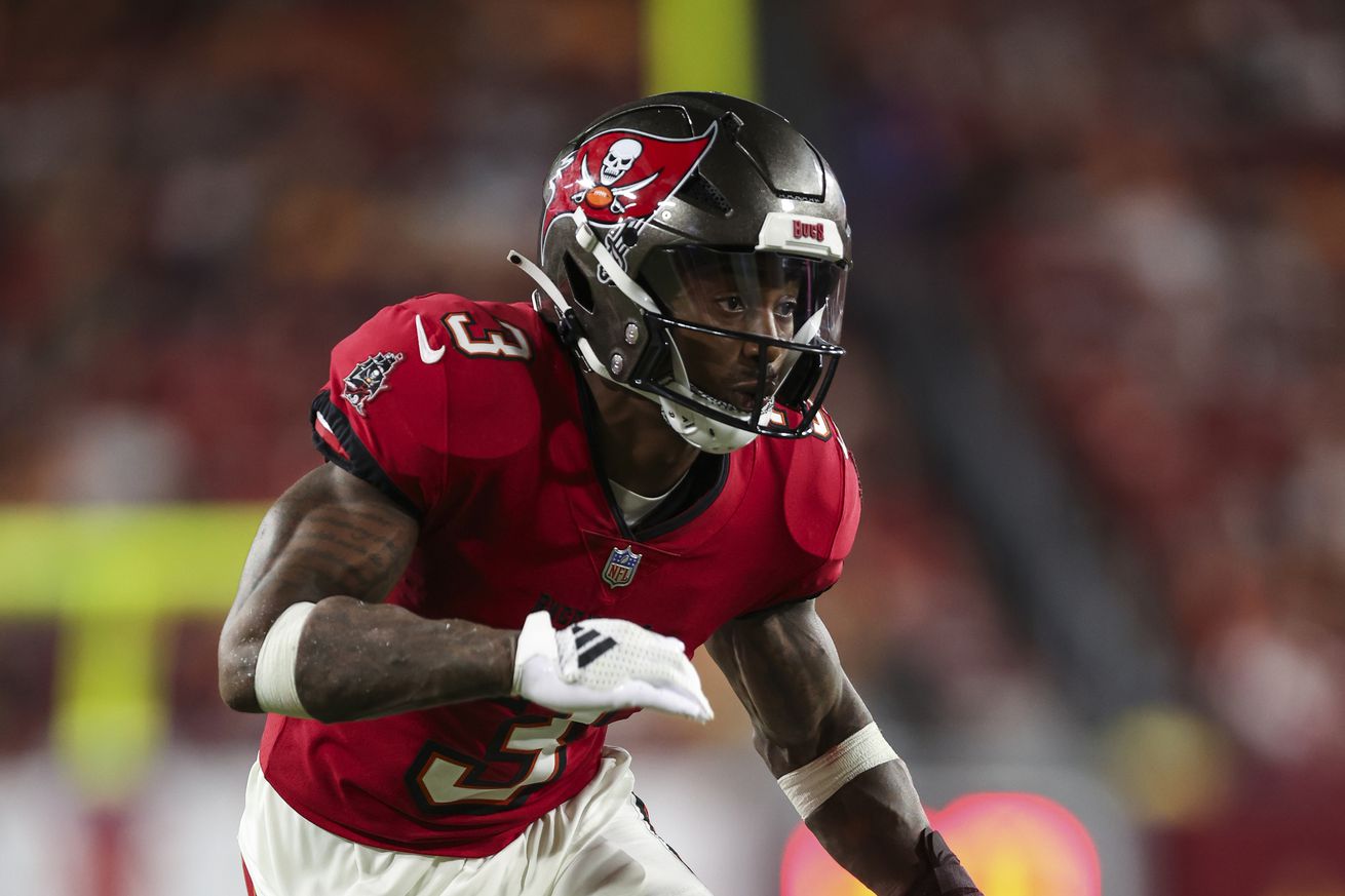 Baltimore Ravens v Tampa Bay Buccaneers