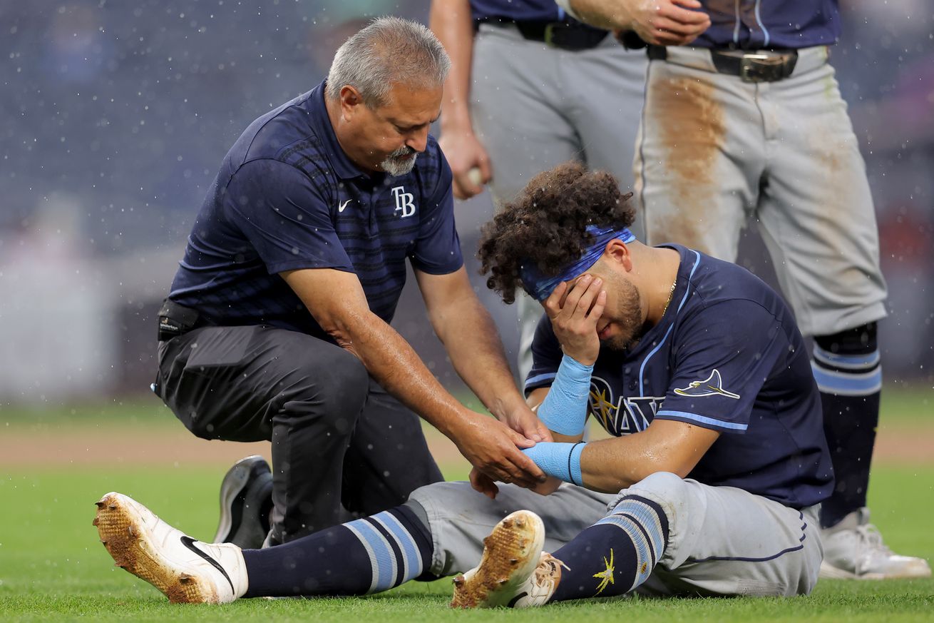 MLB: Tampa Bay Rays at New York Yankees
