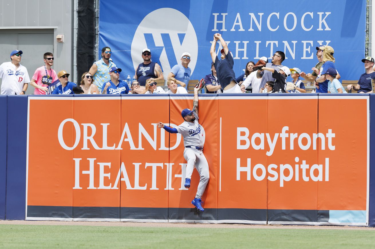MLB: Los Angeles Dodgers at Tampa Bay Rays